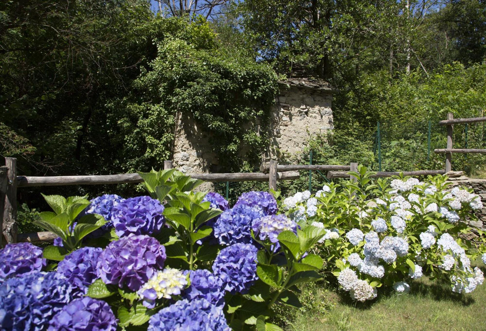 Agriturismo Rossolampone San Bernardino Verbano Quarto foto